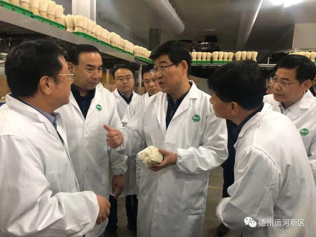 李猛到山东雪榕生物科技有限公司调研