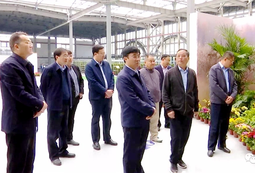 郯城县委副书记、县长王立军带队赴滨海县考察