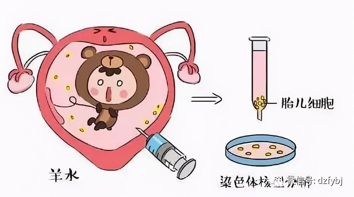 【德州市妇幼保健院专家谈】男女有别，但是你知道双性人吗？