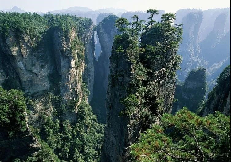 20201110142217538.jpg 20201110142217538.jpg