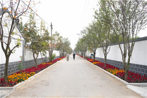 青岛莱西市姜山镇把实事办到老百姓心坎里