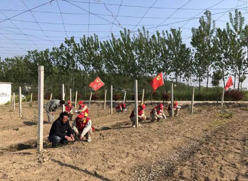 20201111143803662.jpg 6.jpg