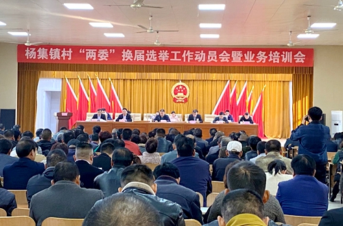 郯城县杨集镇召开村“两委”换届选举工作动员会暨业务培训会