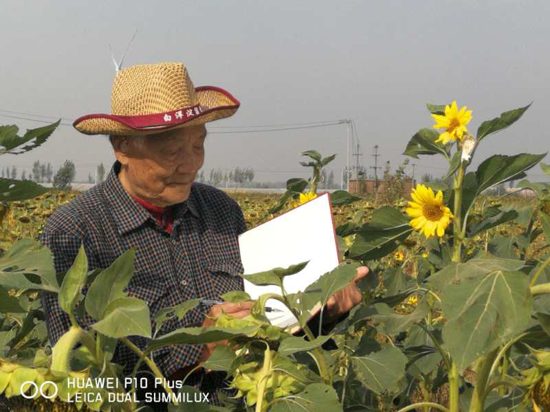 心系黄河故道 描绘运河风情—著名画家齐辛民携弟子夏津采风写生
