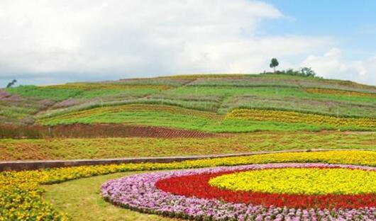 农业农村部认定首批全国休闲农业重点县