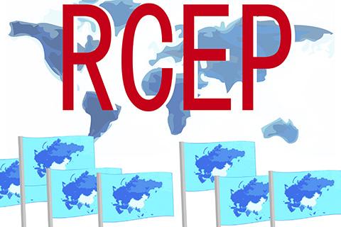 《区域全面经济伙伴关系协定》具有经济体量大、包容性强等特点