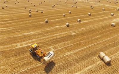 重点签约项目增长20% 2020安徽秸秆产业博览会落幕