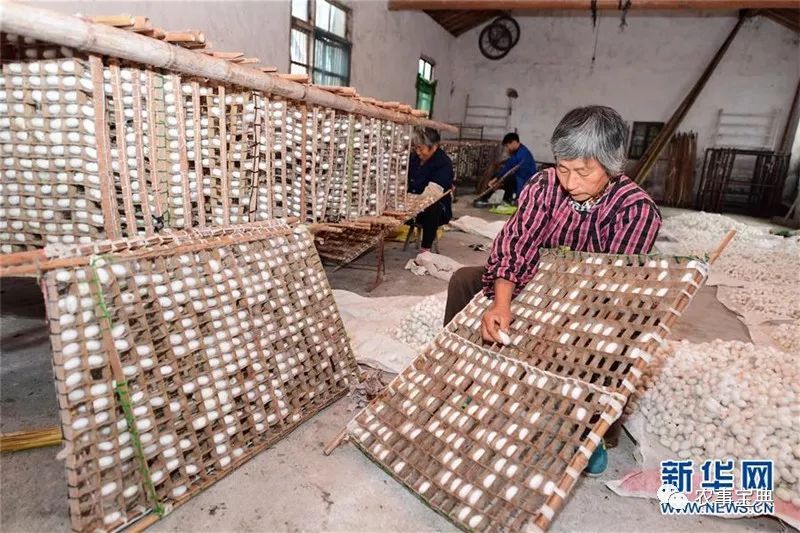 全国“一村一品”示范村镇名单公布 海安新丰村入选