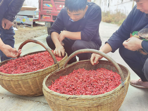 20201118162724264.jpg 2 (1).jpg