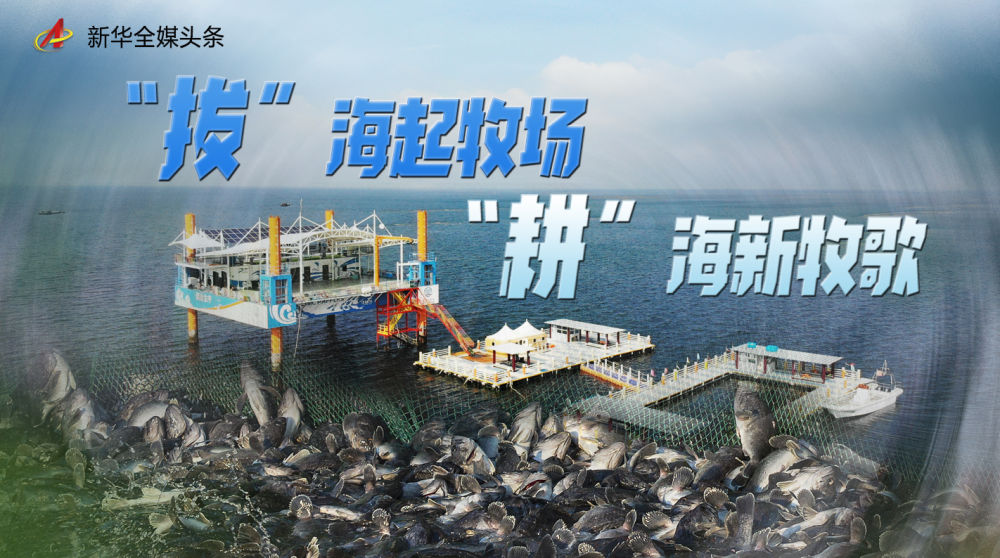 “拔”海起牧场  “耕”海新牧歌