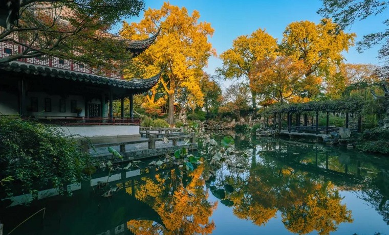秋色染留园，美醉了！