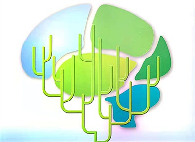 络泰血塞通软胶囊入选《脑血管病社区防治指南》