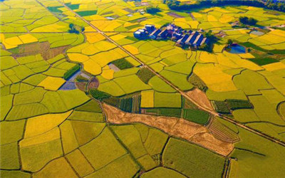 安徽今年开展全域土地综合整治试点