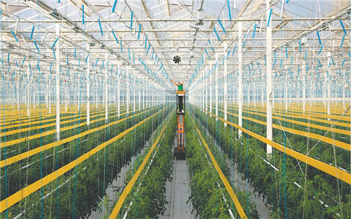 “慧”种地 助振兴