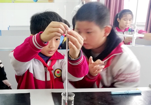 郯城县归昌乡小学开展科学实验操作技能大赛