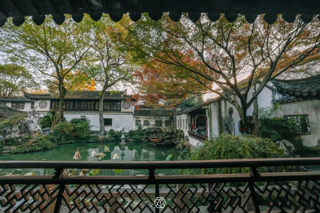 秋色染留园,美醉了!