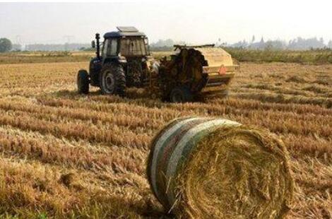 打造绿色循环产业链 农业废弃物资源长出大产业