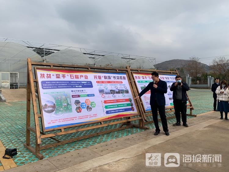 【决胜2020】脱贫攻坚看山东丨扶贫项目“牵手”石榴产业生态农业观光让游客“榴”连忘返