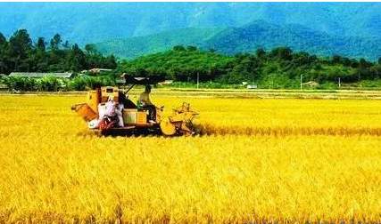 安徽省乡村振兴实现良好开局