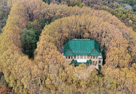 南京紫金山层林尽染呈现“醉”美画卷