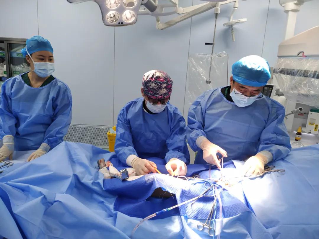 8旬老人腹痛8小时 德州市人民医院精准诊断 “揪出”肠系膜上动脉栓塞的“肇事者”