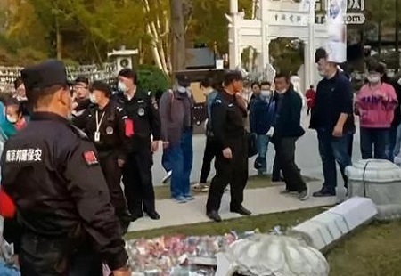 镇江女游客被南京栖霞山石柱砸成骨折！景区：建议走法律途径