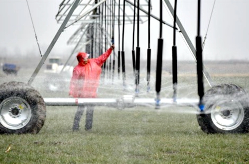 郯城县花园镇：党支部领办合作社书写乡村振兴新篇章