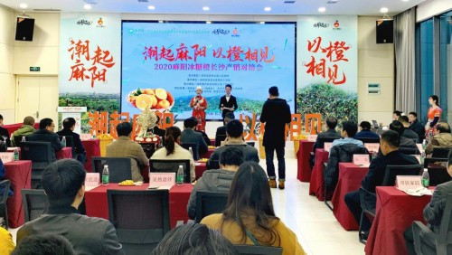 潮起麻阳 以橙相见 2020年麻阳冰糖橙长沙产销对接会举行