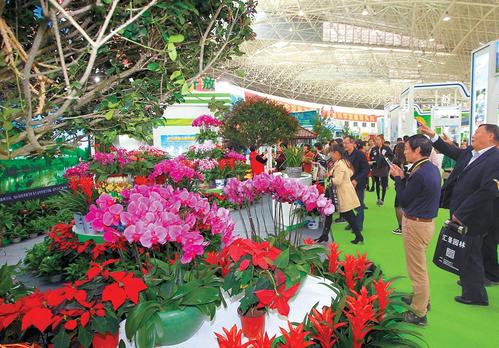 2020合肥“苗交会”成果发布 签约额创历届新高