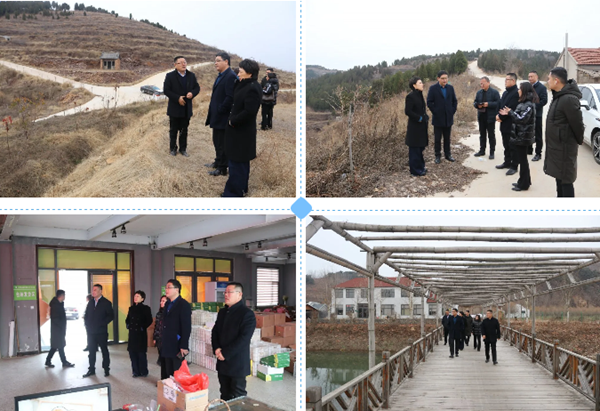 国家发改委国际合作中心到泉庄镇考察生态农业建设情况