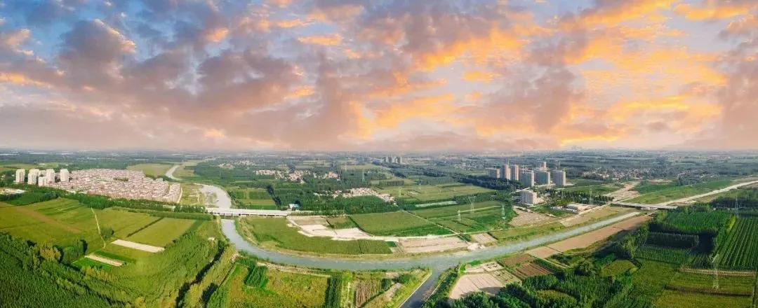 德州运河经济开发区党工委副书记杨洪利：打造秀美新区创新之城