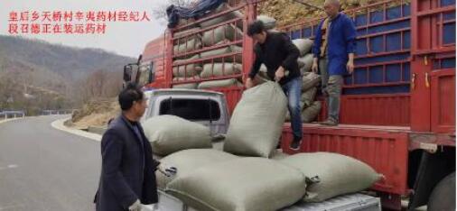 河南省南召县皇后乡：“扶贫路”建成“小康路”