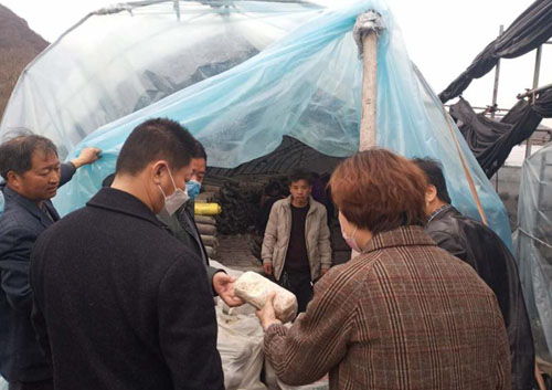 河南南召小店乡：香菇产业助力脱贫奔小康