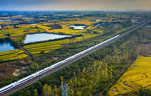 安徽省13村镇入选全国“亿元村”和“十亿元镇”