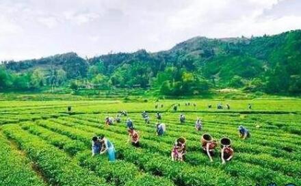 扶贫资产咋管咋用？