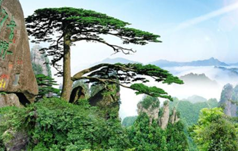 创新型文化和旅游强省建设蹄疾步稳