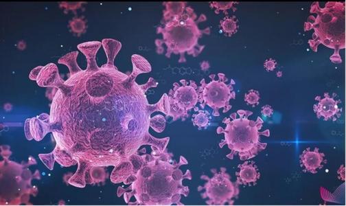 合肥从巴西进口牛腩外包装发现新冠病毒