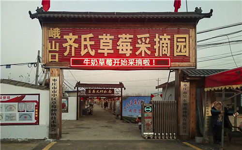 孟庄镇峨山口齐氏草莓园扶贫大棚里的“红娃娃”