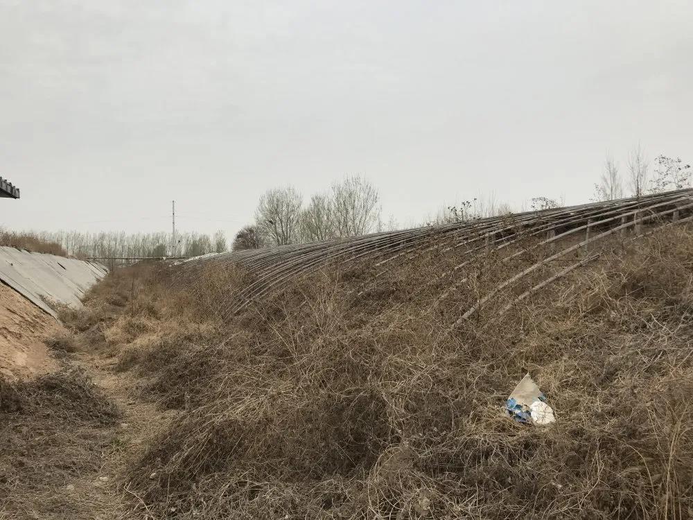 腾笼换鸟 企业涅槃 ——德城区法院一个案件盘活土地1300亩