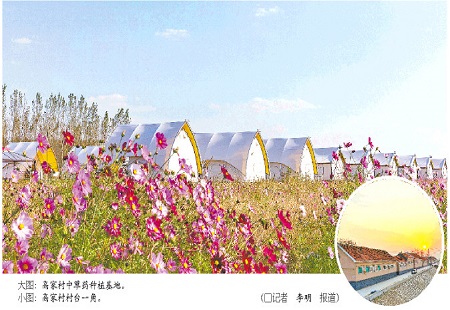 辉煌“十三五”|“一增一减”，山东滩区村奔上小康路