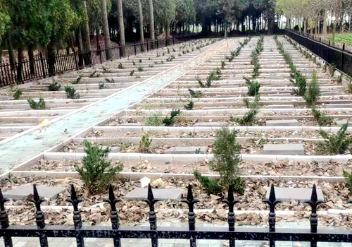 郯城县泉源镇：推进公益性公墓建设打造殡葬新风俗