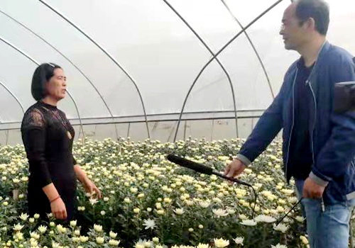 郯城县高峰头镇高二村：县派“第一书记”引领挂职村庄“争第一”