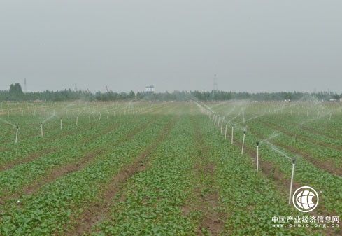 它们凭什么成为世界灌溉工程遗产——我国4处新入选灌溉工程的胜出“绝招”