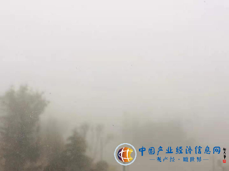 “雾”必注意 菏泽发布大雾红色预警 出行注意交通安全