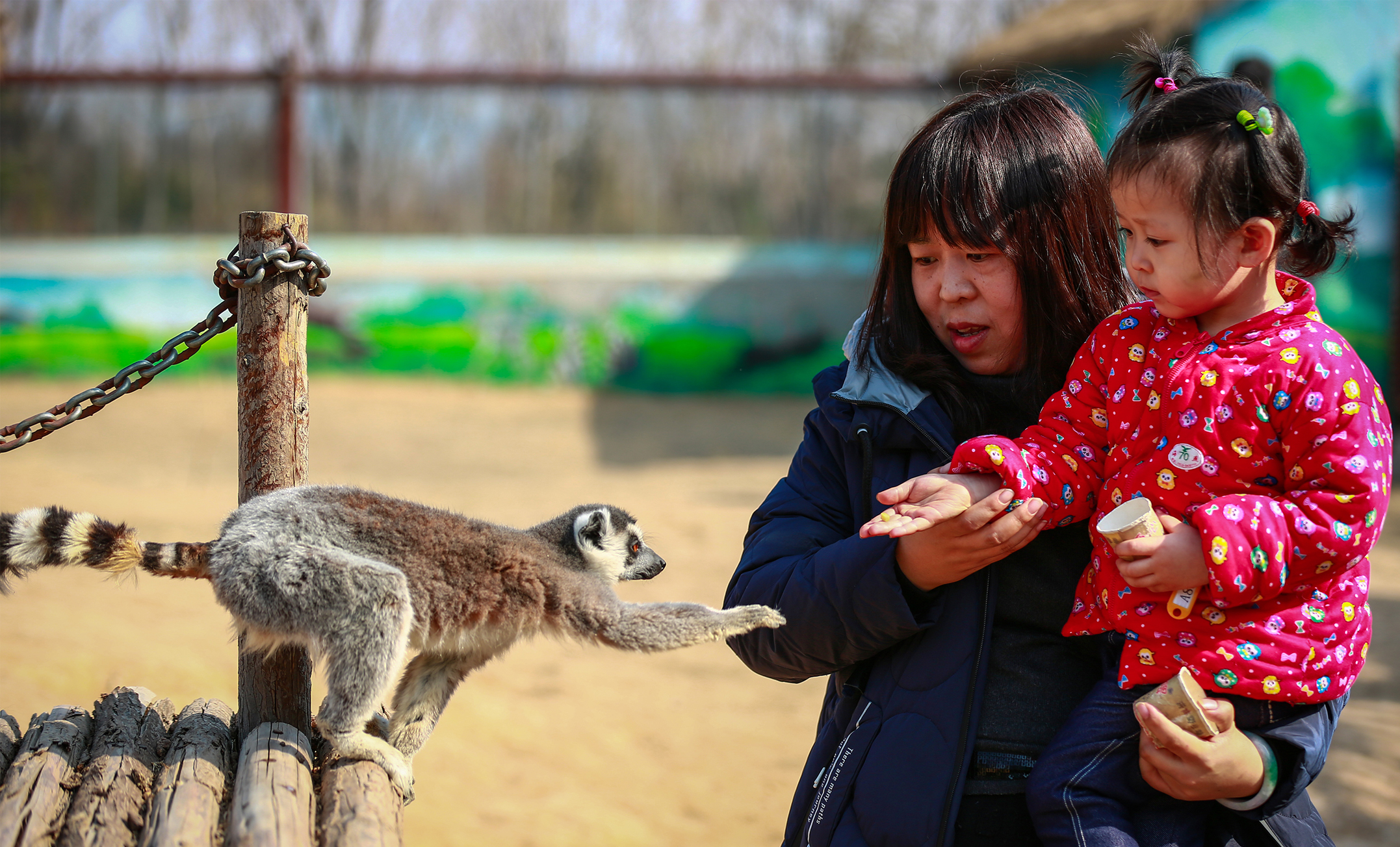 双十二电商旅游节来了