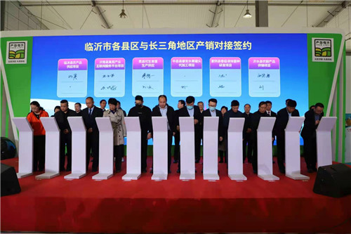 “沂蒙山货”如何挤进大上海的菜蓝子