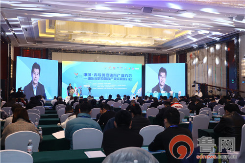 2020中国·青岛时尚体育产业大会在城阳区落下帷幕