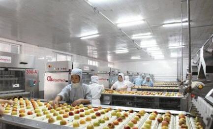 调查显示后疫情时代欧美企业继续青睐中国供应商