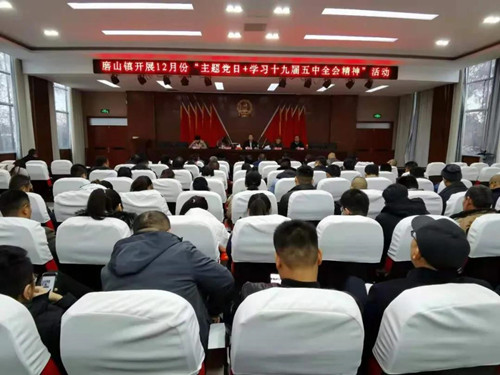 磨山镇：壮大党员队伍，提升基层党组织战斗力