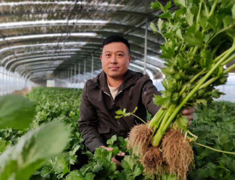 菏泽：群众菜篮子 致富好路子